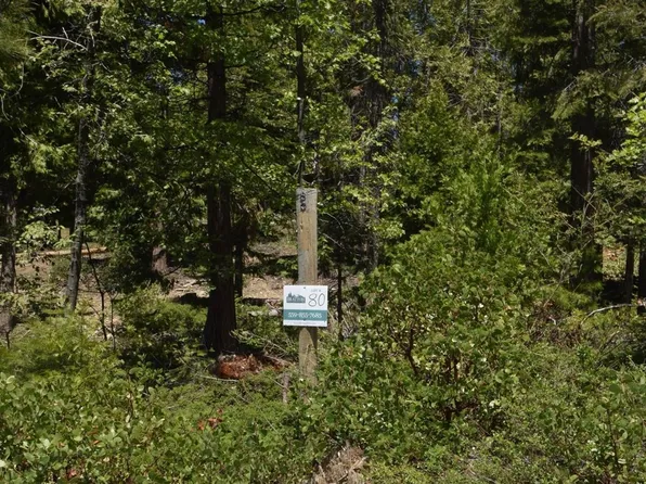 42137 Tourmaline Ln Unit 80, Shaver Lake, CA 93664