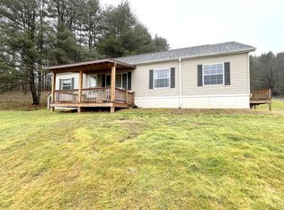 12 Lippincott Pl, Deposit, NY 13754