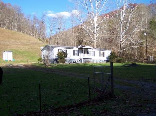 1395 Big Root Rd, Big Bend, WV 26136
