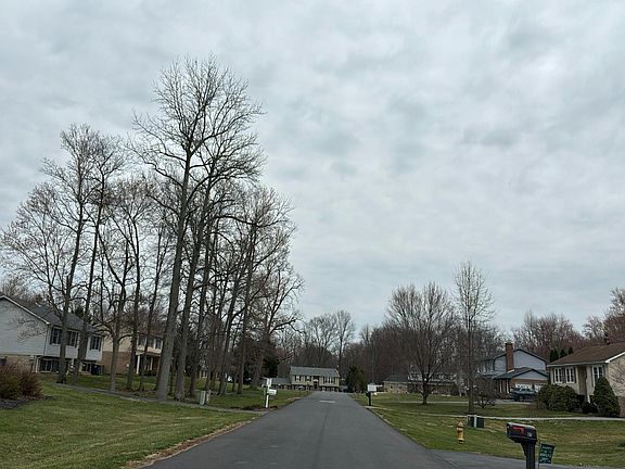 5th image of 72 Bristle Cone Dr
