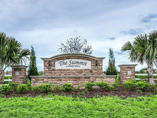 10241 Strawberry Tetra Dr, Riverview, FL 33578