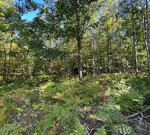 3rd image of 718 Worsh Rd