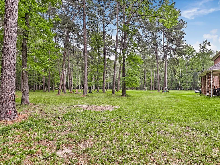 29006 Reserve Bend Dr — Photo 45