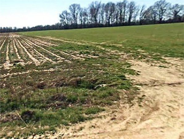 2nd image of 17 Phillips Road 222