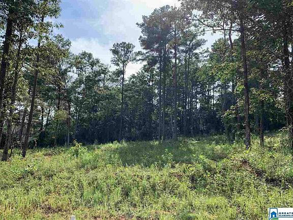 3rd image of 7890 Saddlewood Dr Lot 1