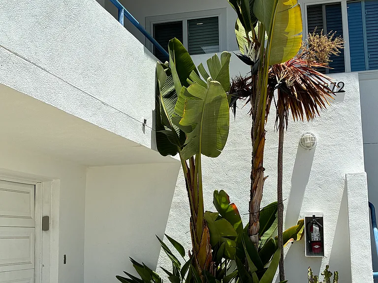 Lush tropical landscaping at entry.
