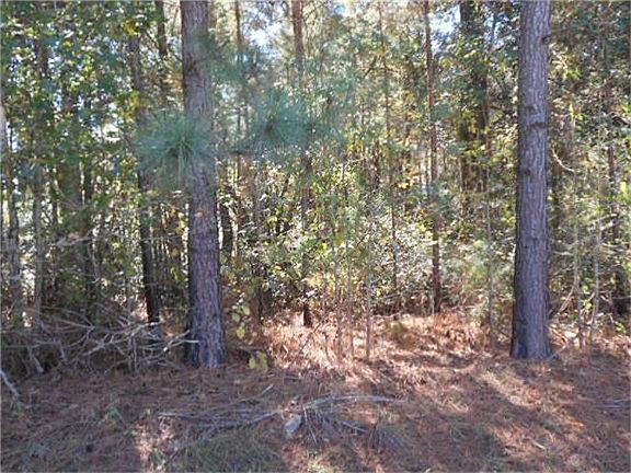 4th image of 25421 Indian Falls Ct