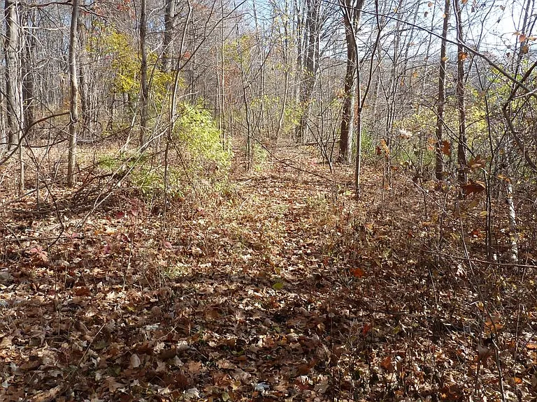 11737 21 Mile Rd — Photo 21