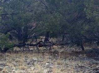 303 Urraca Rd, Mosca, CO 81146