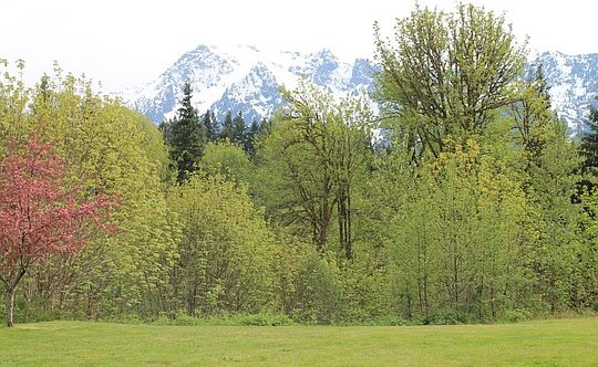 3rd image of 39829 E Whitehorse Dr