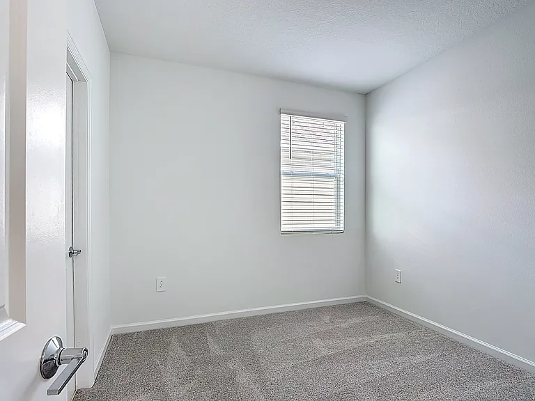 2433 Spring Tune Aly — Photo 19