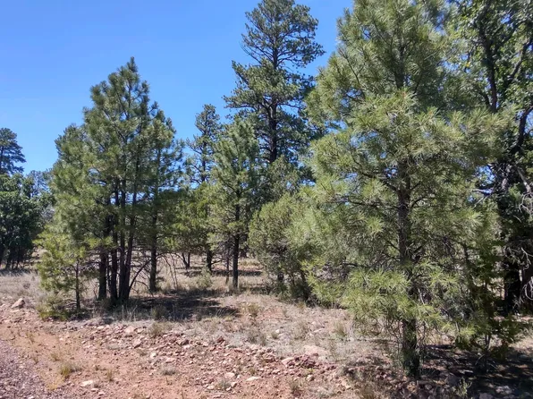 5629 Wild Turkey Dr, Happy Jack, AZ 86024