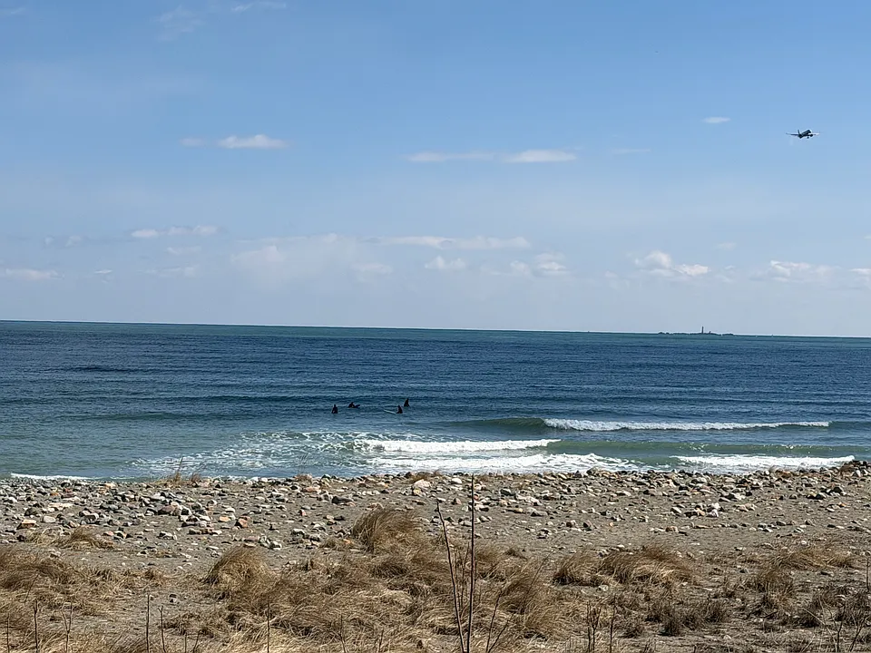 view