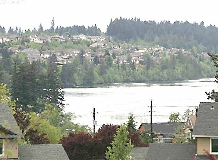 View from the living room