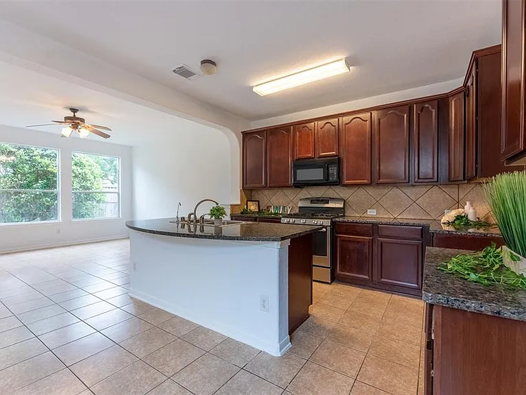 21706 Spring Vine Ln — Photo 5