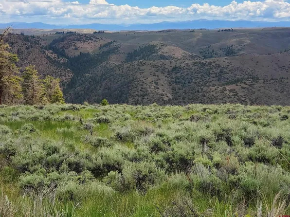 96 Kebler Trail, Powderhorn, CO 81243