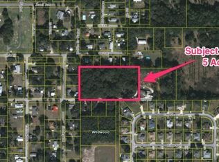 707 Missouri Ave, Wildwood, FL 34785