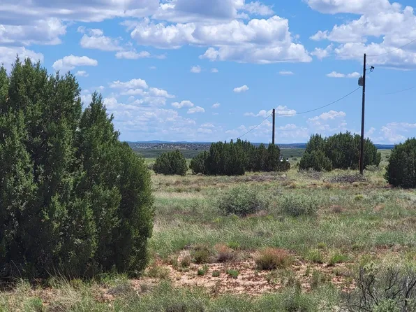 Paper Mill Rd, Snowflake, AZ 85937