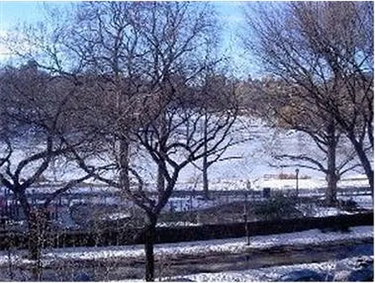 Sold by Douglas Elliman | media 17