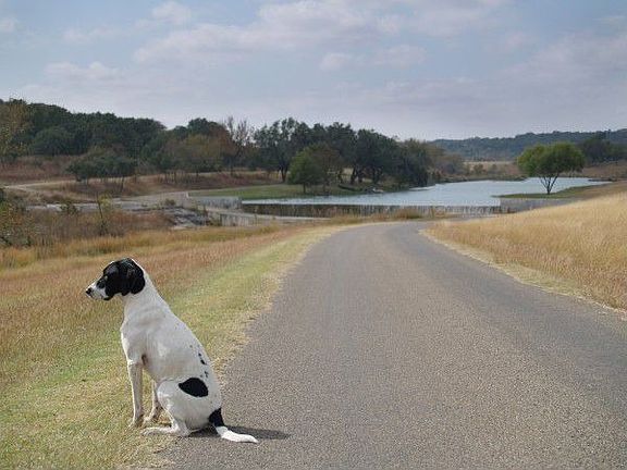 Paved Roads