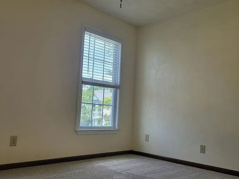 5409 Branchwood Way — Photo 23