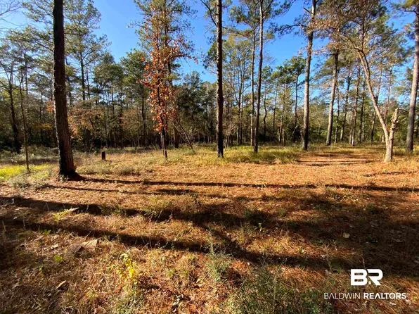 10 Drinkard Rd, Bay Minette, AL 36507