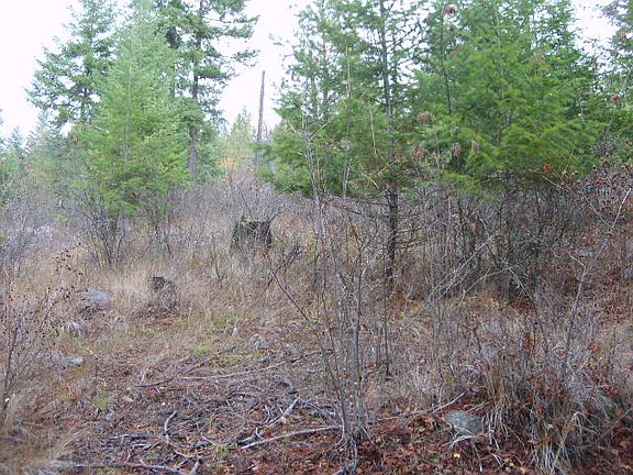 3rd image of Nna Camp Nine