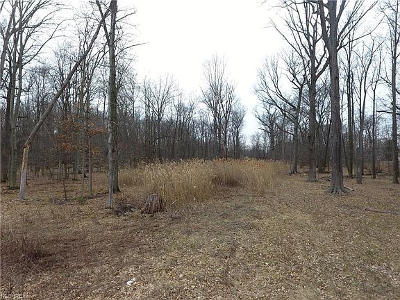 5th image of 21592 Willow Ln