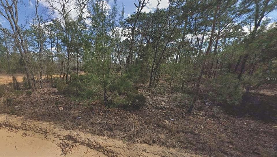 1st image of 133 Lake Lucy Ct #1
