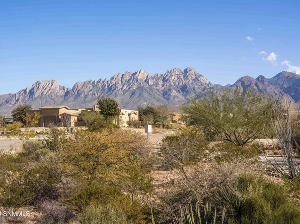 8560 Barrel Cactus Ct, Las Cruces, NM 88011