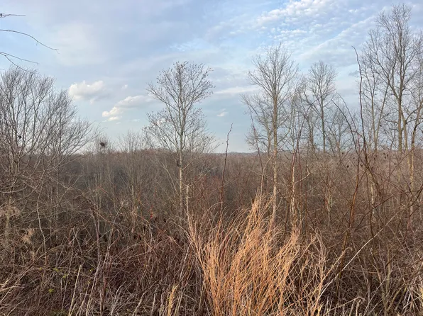 637 Walk Log Br, Jackson, KY 41339