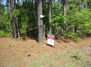 1166 Pine Plain Rd, Gaston, SC 29053