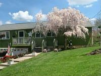 2nd image of 8136 Lesourdsville West Chester Rd