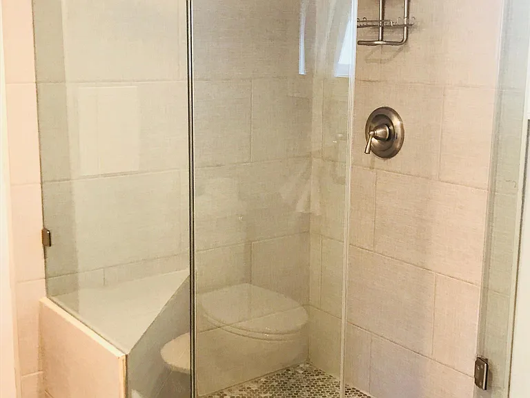 Glass, tile and stone shower