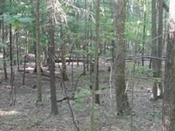 Calypso Trl, Great Cacapon, WV 25422