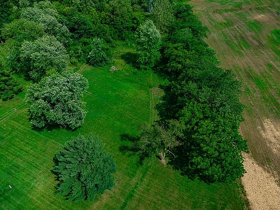 3rd image of 459 Union Ln