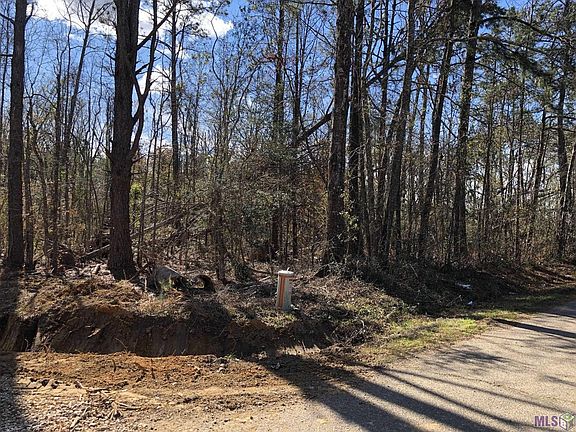 4th image of McDaniel Rd
