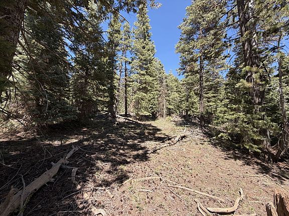 5th image of 79 W Berry Loop