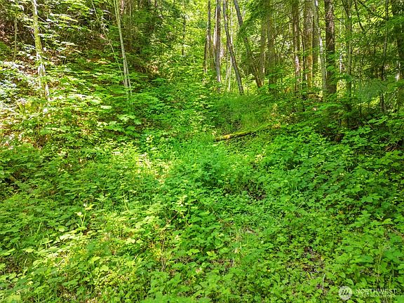 5th image of 150 N Sunnyside Road