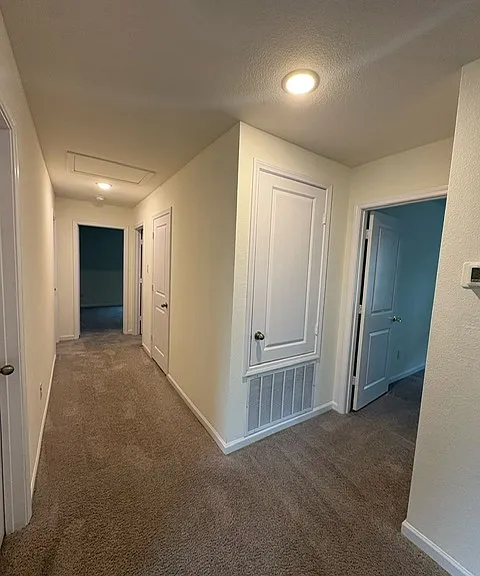 408 Forest St — Photo 7