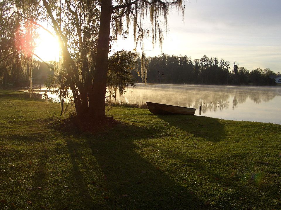  view from front yard