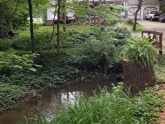 Minnie Creek looking west