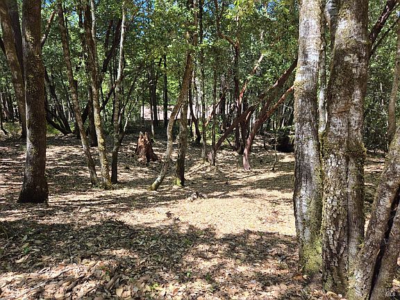 5th image of 1686 Ponderosa Road