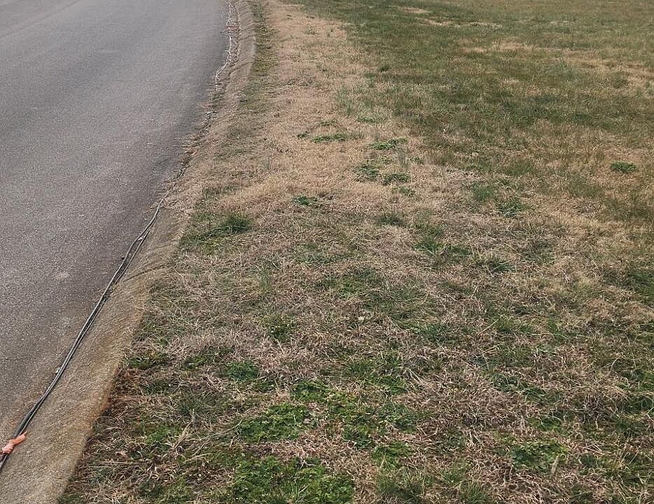 2nd image of Magnolia Way