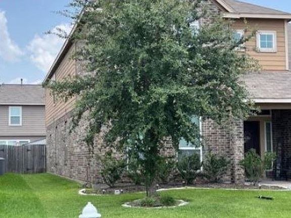 Property Rear View