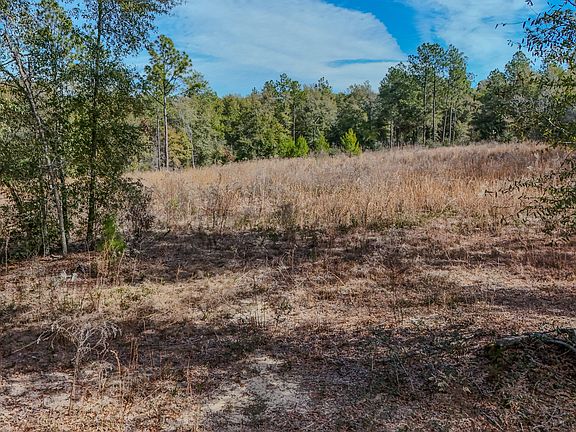 3rd image of Holly Tree Ln