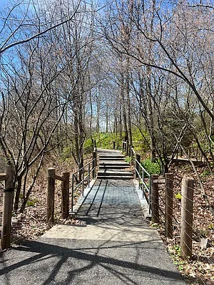 Rented by Nest Seekers International | media 8