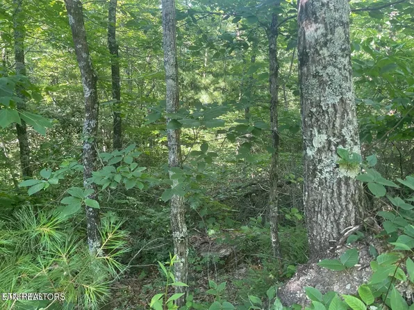 LOT 71 Hazelnut Ln, Sevierville, TN 37876
