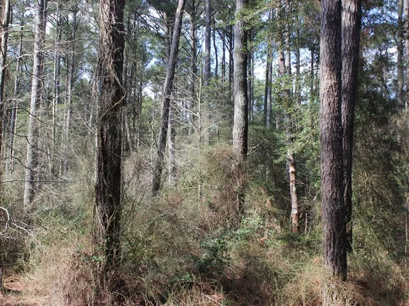 528 Castaway Dr, Greenbackville, VA 23356