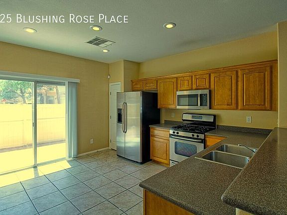 4th image of 925 Blushing Rose Pl